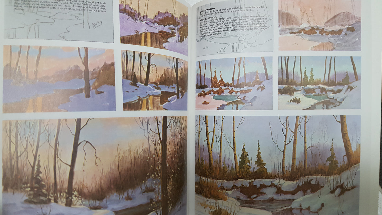 Walter Foster how to Draw and Paint--Winter Landscapes  #126