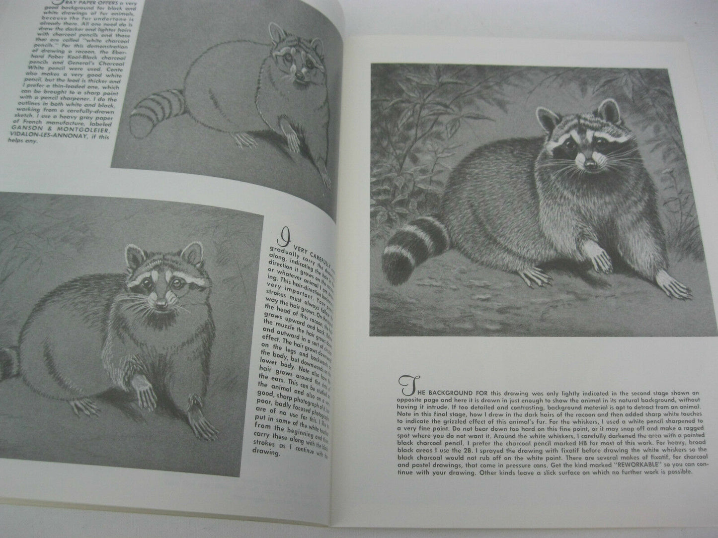 Walter Foster how to Draw and Paint-- Animal Textures #90 By Walter J. Wilwerding